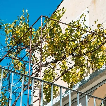 Bed & Breakfast Des Amandiers